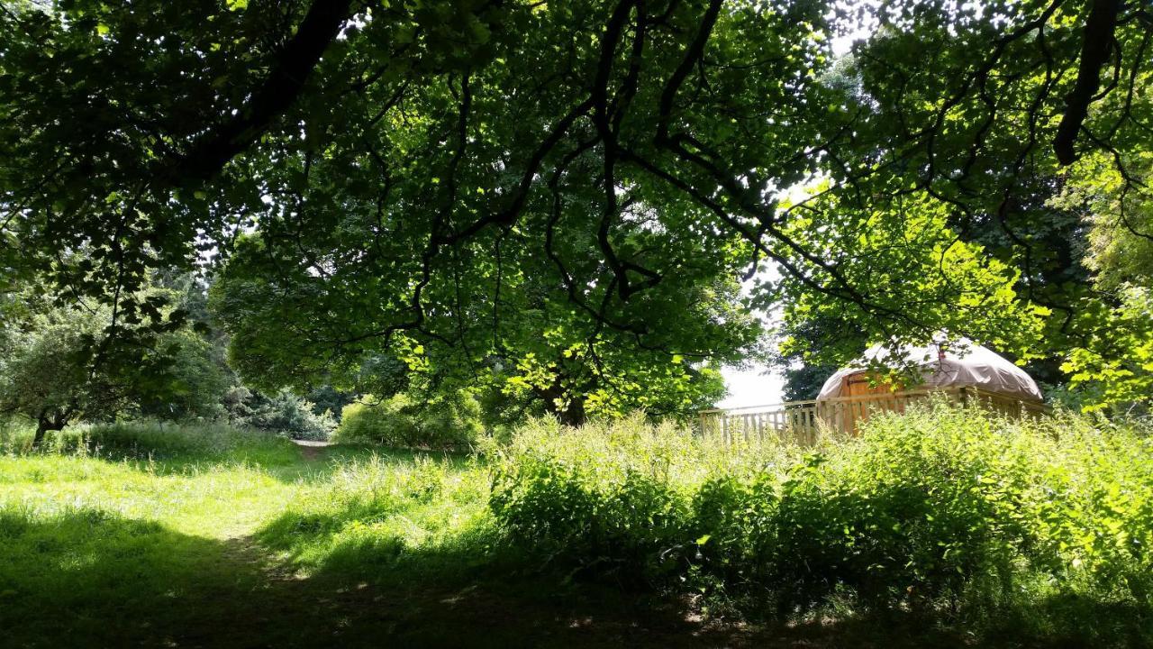 Готель Rock Farm Slane - Glamping Екстер'єр фото
